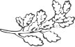 Menu leaf icon